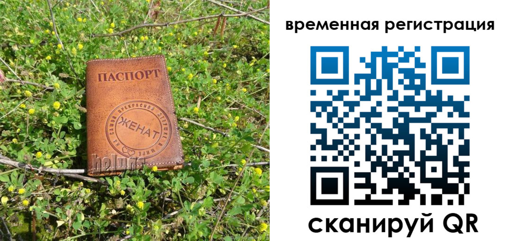 прописка регистрация в Лодейном Поле